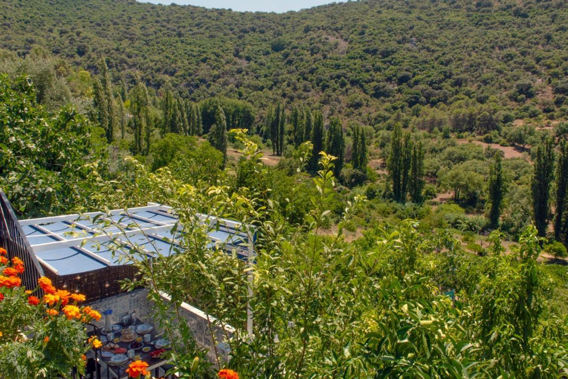 Stunning Home Benamahoma 4 Bed - Sierra Grazalema Exterior foto